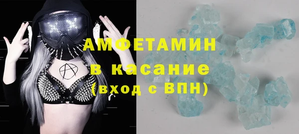 сатива Верея