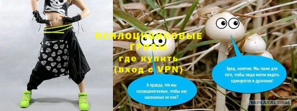 а пвп мука Богородск