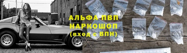 экстази Богданович